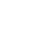 v05