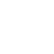 v05