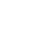 v05