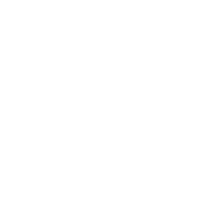 v05